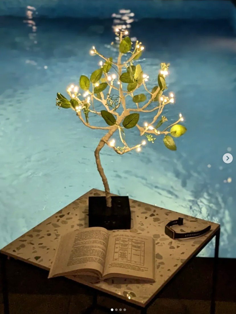 Warm tree lamp glowing by a pool